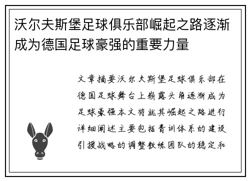 沃尔夫斯堡足球俱乐部崛起之路逐渐成为德国足球豪强的重要力量
