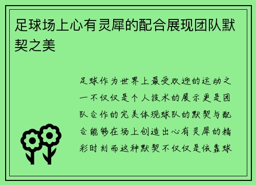 足球场上心有灵犀的配合展现团队默契之美
