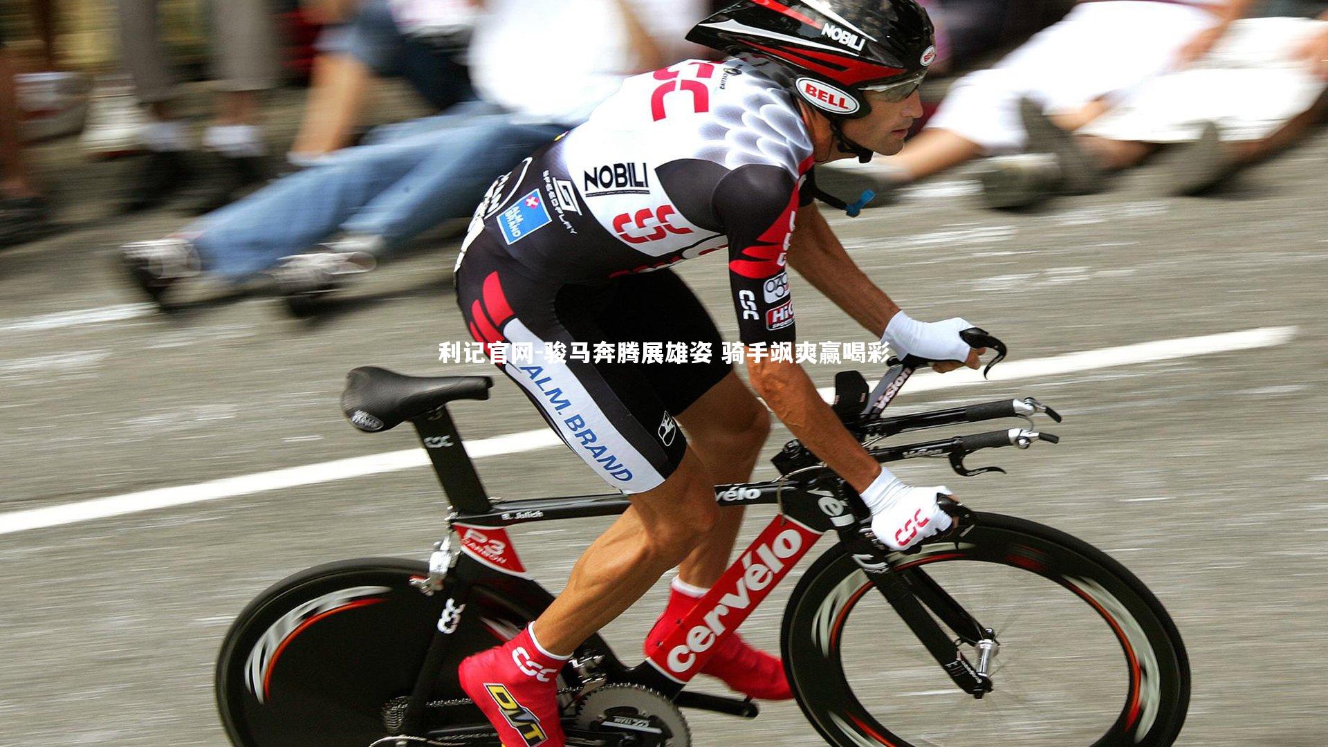 骏马奔腾展雄姿 骑手飒爽赢喝彩